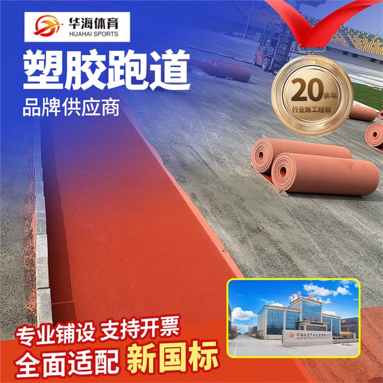 渭南市半预制跑道预制型橡胶跑道 - 方案